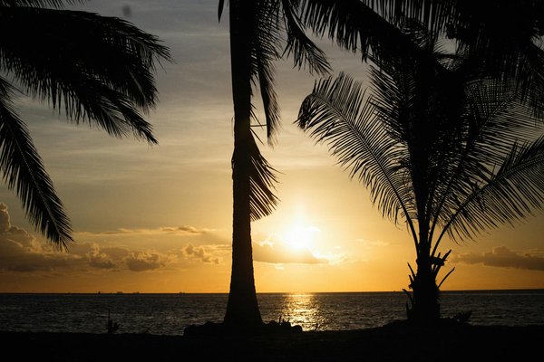 Lac de Curbans : entre nature et activités inoubliables